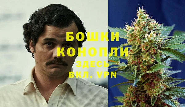каннабис Алзамай