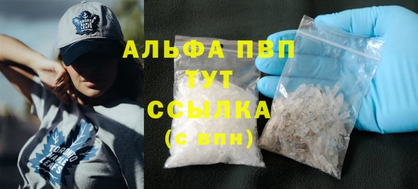 стафф Осташков