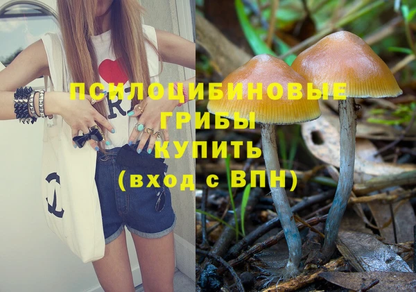 метамфетамин Алексеевка