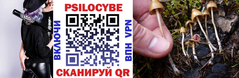 ссылка на мегу маркетплейс  Борзя  Псилоцибиновые грибы MAGIC MUSHROOMS 