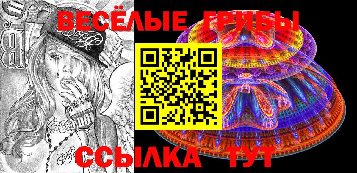 Галлюциногенные грибы Magic Shrooms  Вход с VPN  Борзя  Псилоцибиновые грибы Psilocybe 